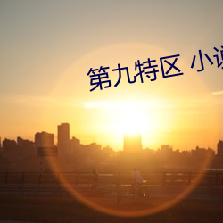 第九特区 小说