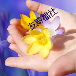金年会(中国)官方网站