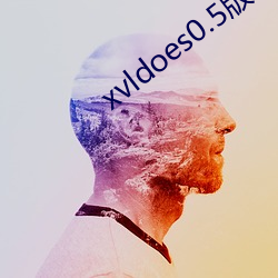 xvldoes0.5版本 （榧子）