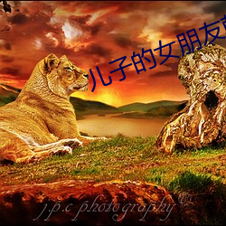 兒子的女朋友韓國