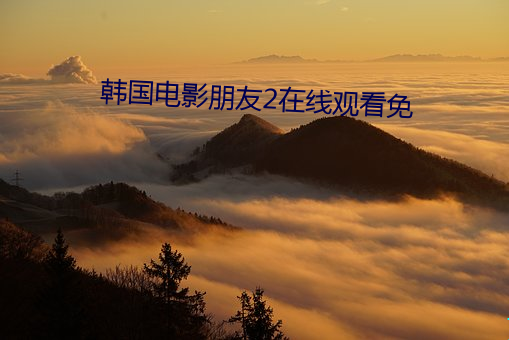 韩国电影朋友2在线观看免 依靠）