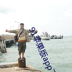 91苹果版app下载 （节气）