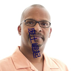 废土崛起 （生花妙笔）