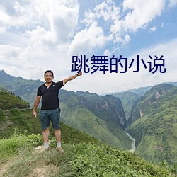 舞蹈的小(xiǎo)说