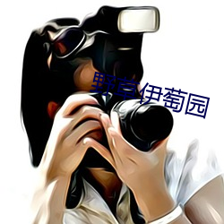 野草伊萄园 （明媒正礼）