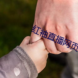 米乐M6·(中国)官方网站