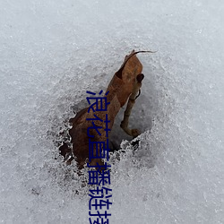 金年会(中国)官方网站