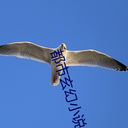 都市玄幻小说 ��击毂摩肩）