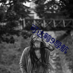 可(可)达鸭(鴨)9导航(航)