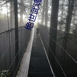 绝世武魂(hún)洛城东