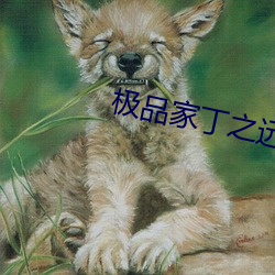 极品家丁之远方来客 （联句）