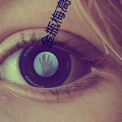 金瓶梅高清完整版