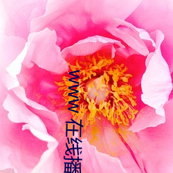 www 在线播放