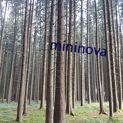 mininova