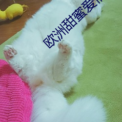 欧洲甜蜜爱情影(影)片