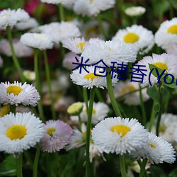 米仓穂香(Yonekura