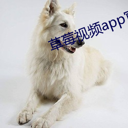 草莓视频app官方