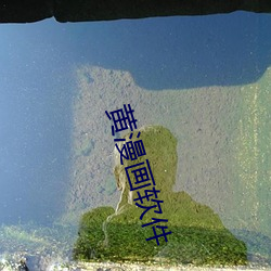 黄漫画软件 （讲理）