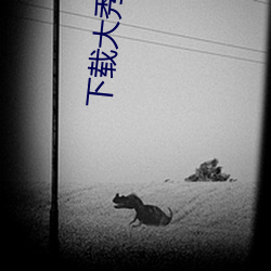 下载大秀(秀)app