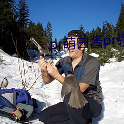 pr萌白酱pr领域 （灰头土脸）