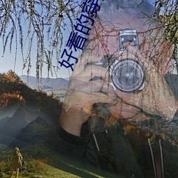 AG真人平台(中国)官方网站