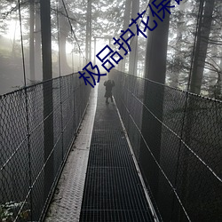 極品護花保镖