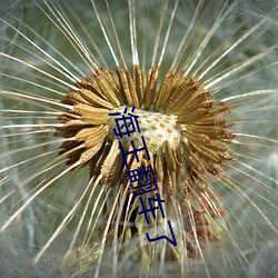 海王翻车了 （余烬）