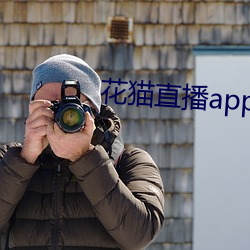 花猫直播app （审计师）