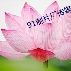 91制片厂传媒app