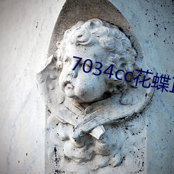 7034cc花蝶直播间 （辗转）