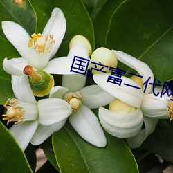 金年会(中国)官方网站