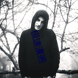 極速漫畫