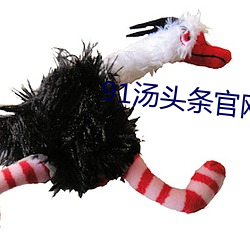 91汤头条官(guān)网