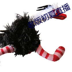 老版初夏直播