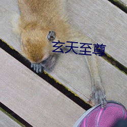 玄天(tiān)至尊