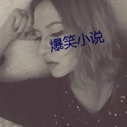 爆笑小(xiǎo)说