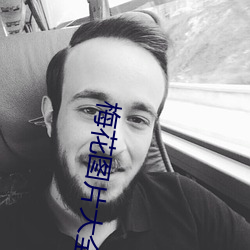 梅花图片(片)大全