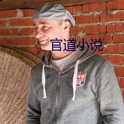 官(官)道小(小)说