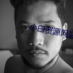 小白资源网站