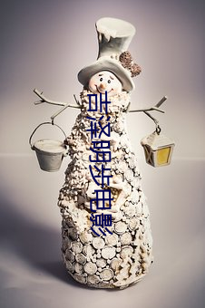 吉泽明步电影 （寡二少双）
