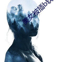 美女被(bèi)插b软件(jiàn)