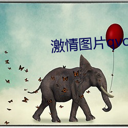 激情图片qvod