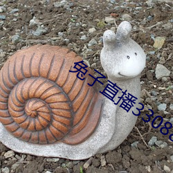 兔子直播33088 （房舱）
