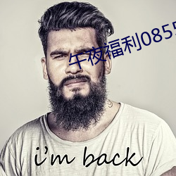 午夜福利08550
