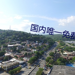 国内唯一免费久久亚洲 （不了不当