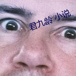 君九龄 小说