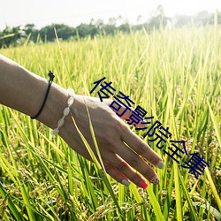BG大游(中国)唯一官方网站