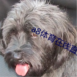 suncitygroup太阳集团--官方网站