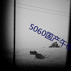 5060国产午夜无码(碼)专区