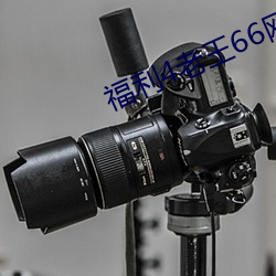 福利4老王66網